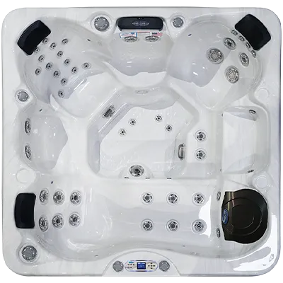 Avalon EC-849L hot tubs for sale in Greeley