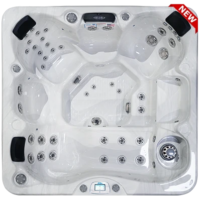 Avalon-X EC-849LX hot tubs for sale in Greeley